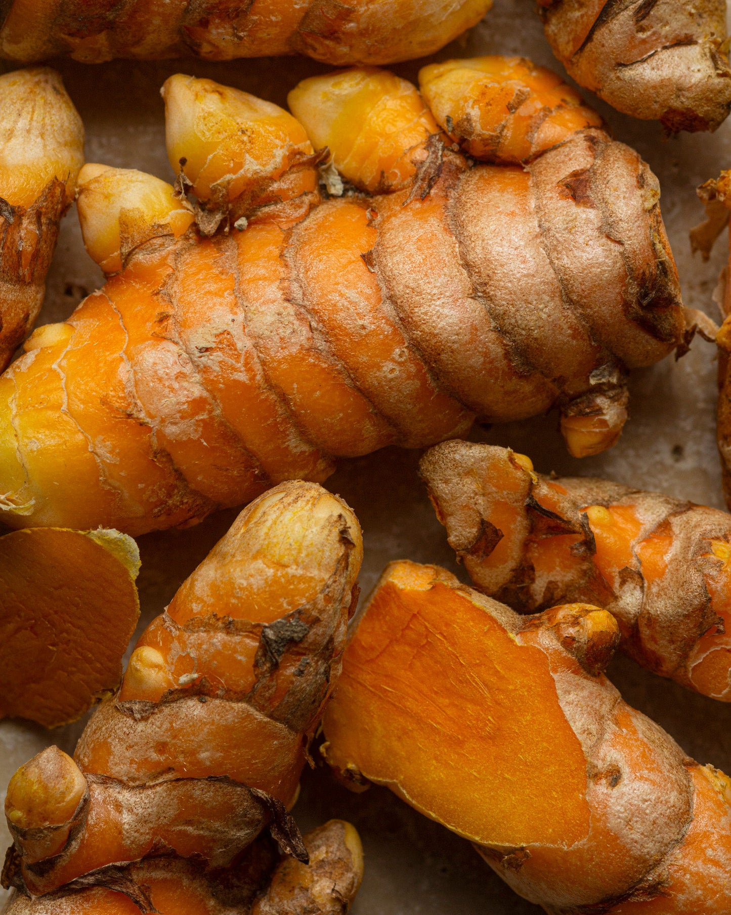 CURCUMA FRAIS