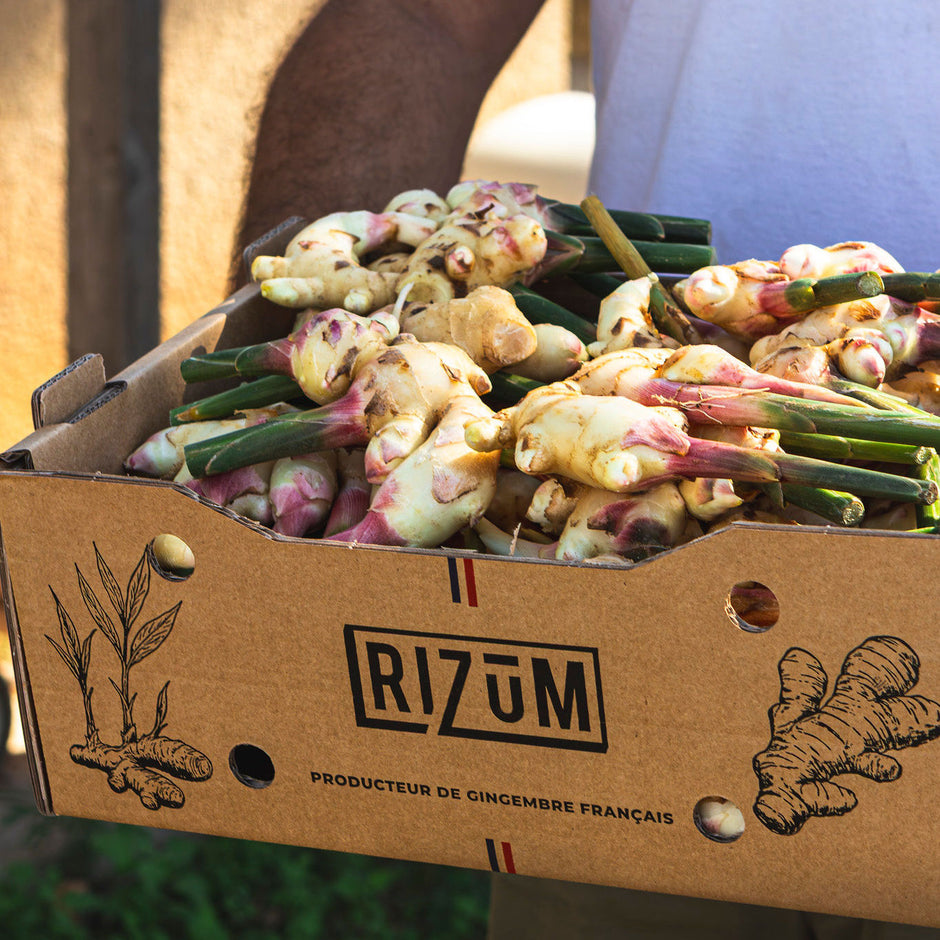 Rizum – RIZUM