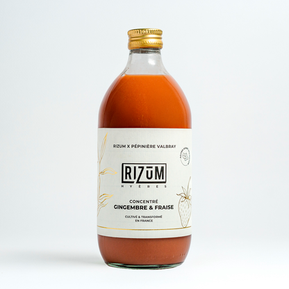 Concentré de gingembre & fraise
